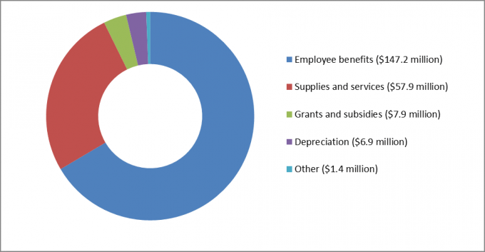 coloured pie chart